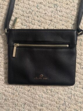Celine Dion Leather Adagio Crossbody
